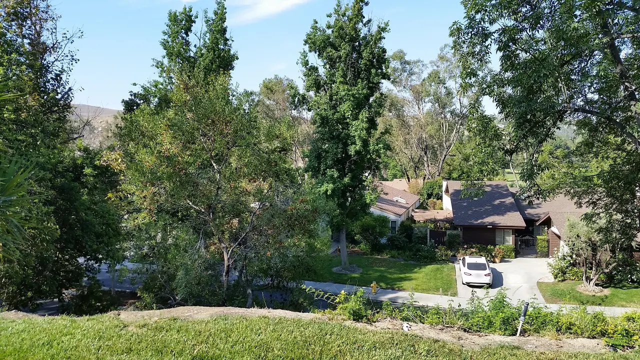 Quiet residential street seen from a grassy slope, single-story homes with brown roofs set among tall green trees, a white car parked in a driveway, and dry hills behind under a blue sky.